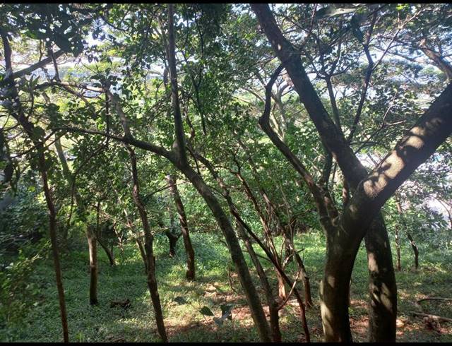 LAND FOR SALE IN SIMBITHI ECO ESTATE